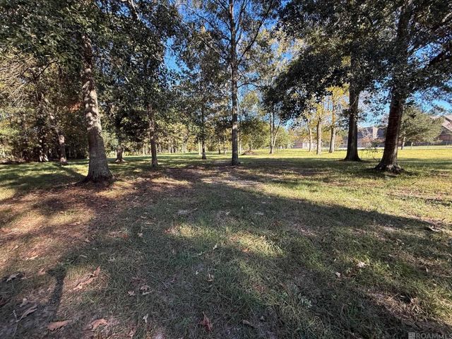 26430 Clyde Blount Rd, Livingston, LA 70754