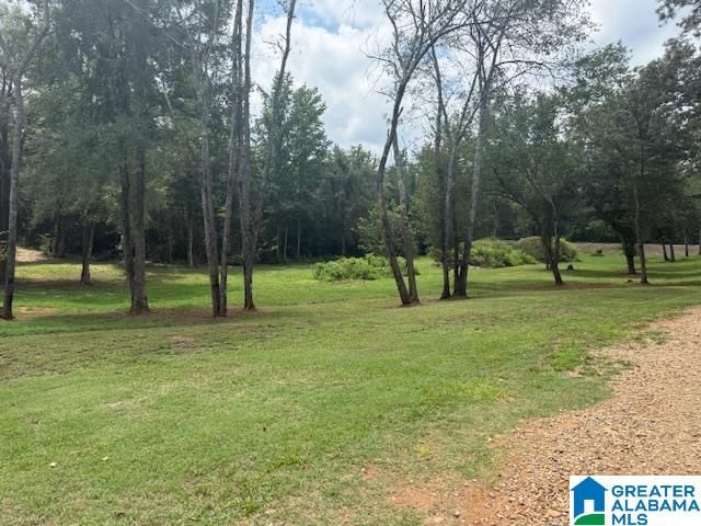 580 IDALIA ROAD, Talladega, AL 35160