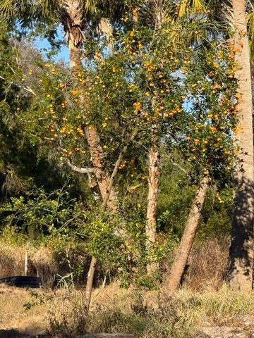 4770 N Kings Highway N, Fort Pierce, FL 34951