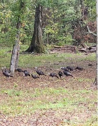 359 Poplar Lane, Crawfordville, GA 30631