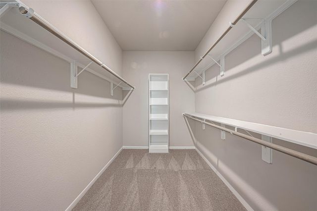 13306 Prado Ridge Lane, Iowa Colony, TX 77583