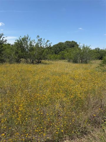 0 County Road 438, Snook, TX 77878