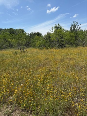 0 County Road 438, Snook, TX 77878