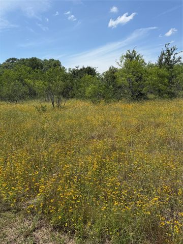 0 County Road 438, Snook, TX 77878