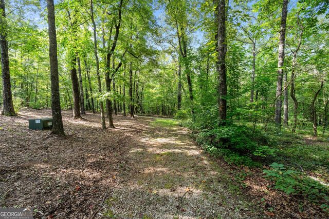 4165 Glenn Road, Franklin, GA 30217