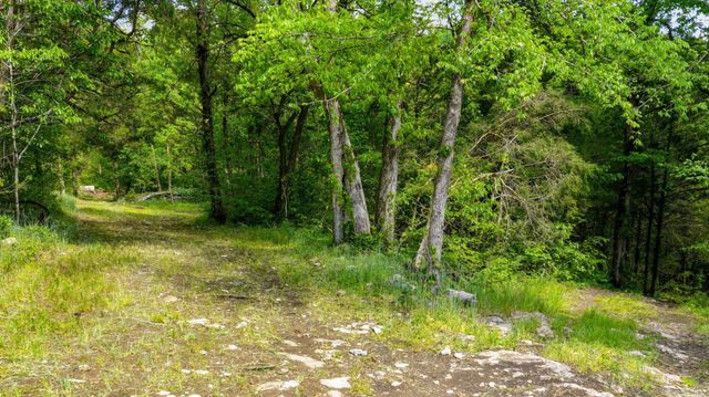 2699 Brooks Bend Ln, Gainesboro, TN 38562