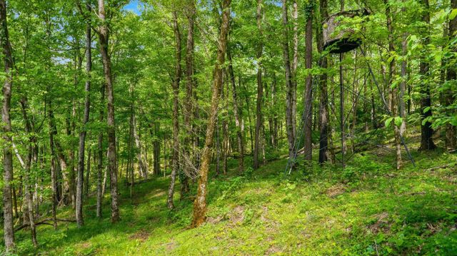 2699 Brooks Bend Ln, Gainesboro, TN 38562