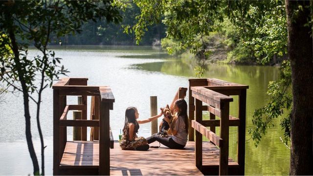 246 Maritime Way, Summerville, SC 29485