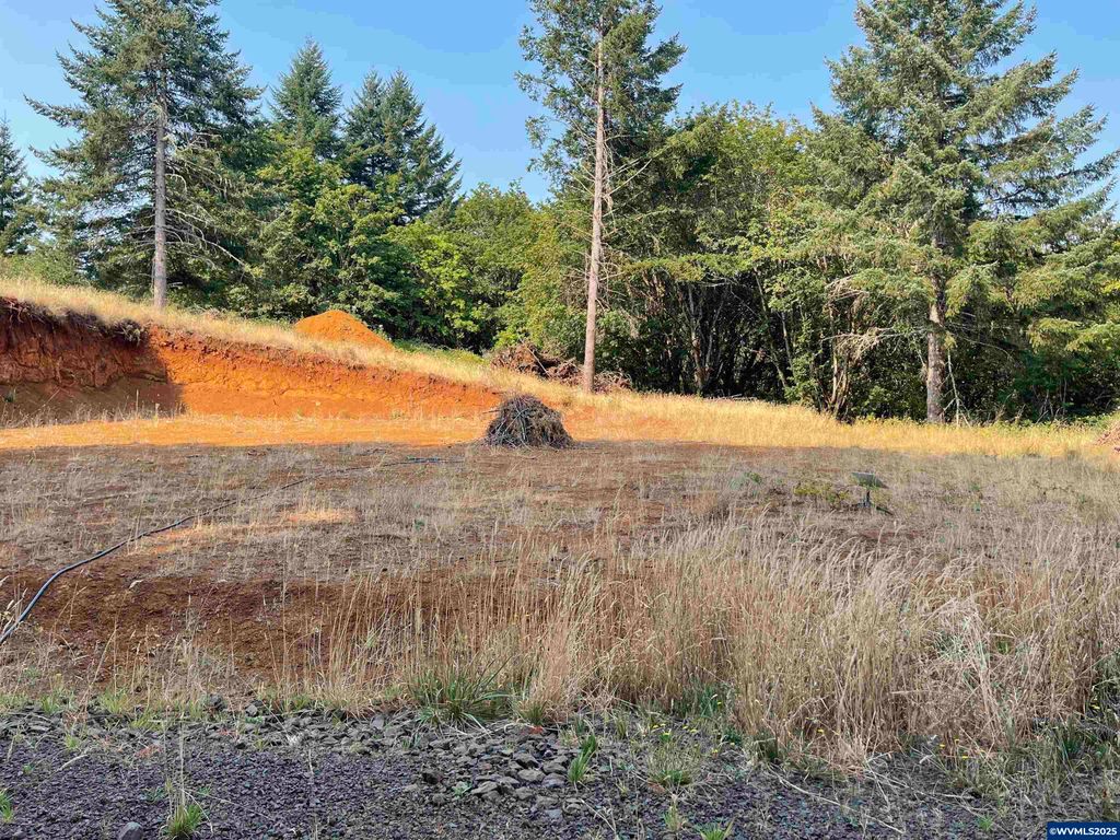 Image 1 of property listing at 25560 SW Valley View Ln, Sheridan, OR 97378