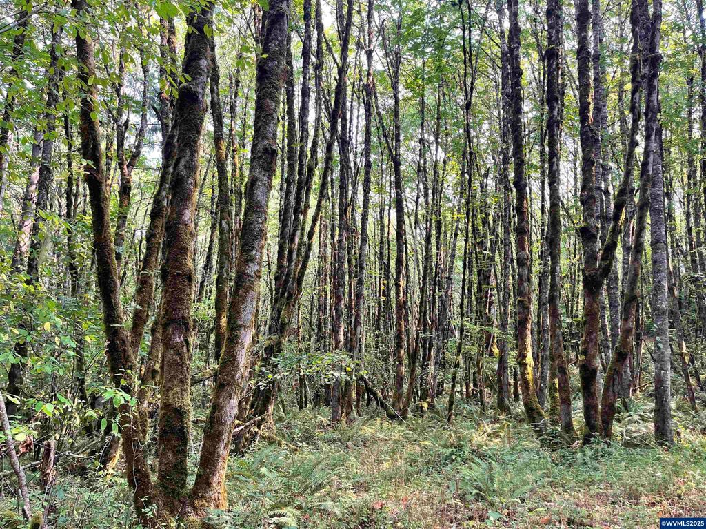 Image 11 of property listing at 25560 SW Valley View Ln, Sheridan, OR 97378