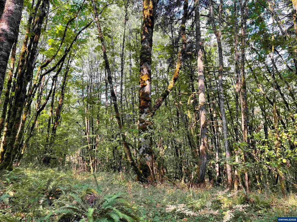 Image 9 of property listing at 25560 SW Valley View Ln, Sheridan, OR 97378