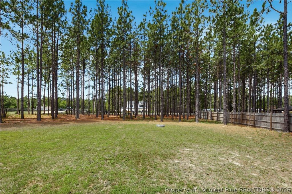 175 Desert Orchid Circle, Raeford, NC 27376 — photo 40