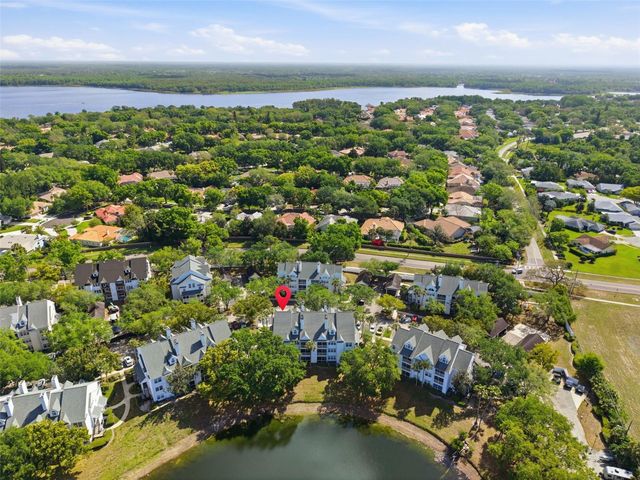 3300 HAVILAND COURT 303, Palm Harbor, FL 34684