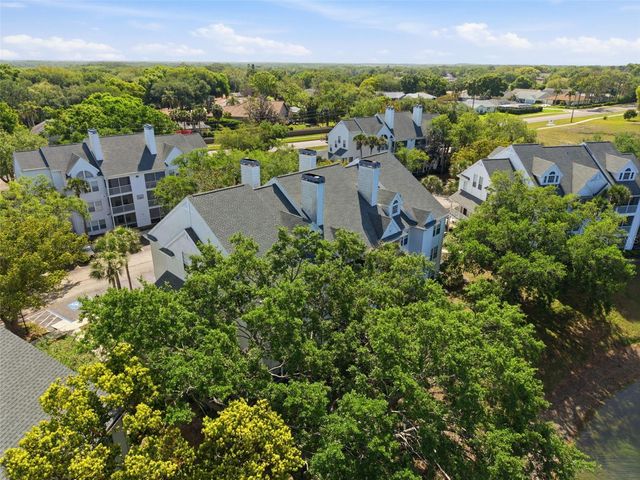 3300 HAVILAND COURT 303, Palm Harbor, FL 34684