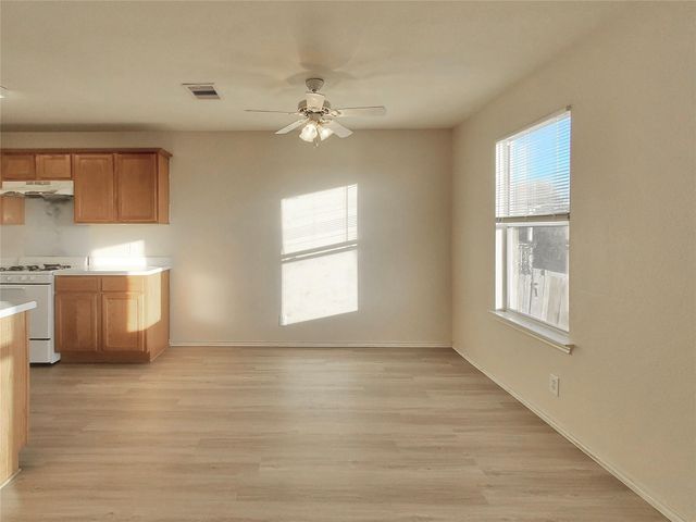 15109 Mimebark WAY, Austin, TX 78724