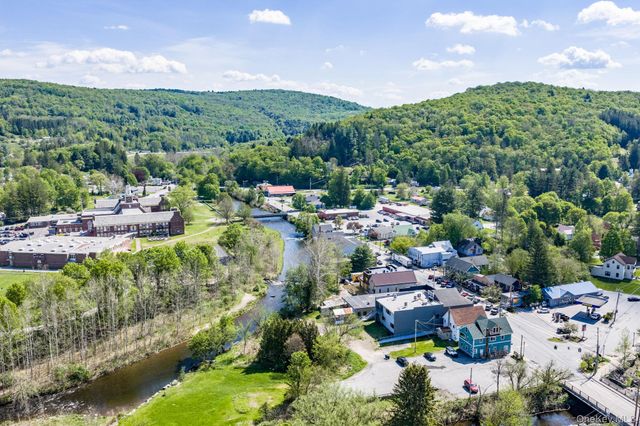 34 Turkey Hollow Lane, Livingston Manor, NY 12758