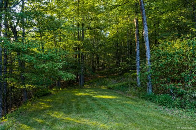 34 Turkey Hollow Lane, Livingston Manor, NY 12758