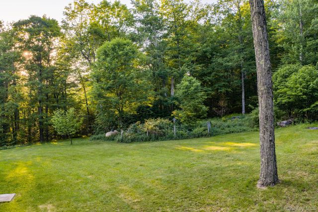 34 Turkey Hollow Lane, Livingston Manor, NY 12758