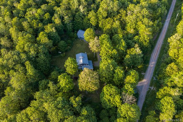 34 Turkey Hollow Lane, Livingston Manor, NY 12758