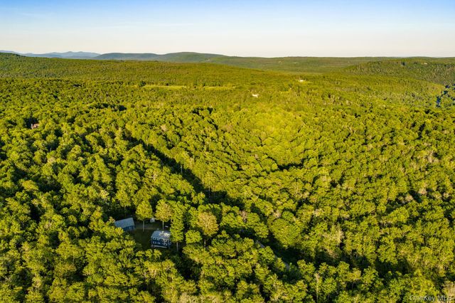 34 Turkey Hollow Lane, Livingston Manor, NY 12758