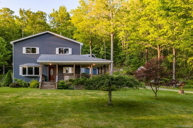 34 Turkey Hollow Lane, Livingston Manor, NY 12758