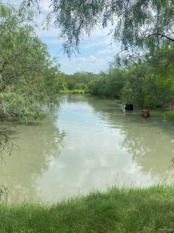 0 N Ted Garza Road N, San Manuel, TX 78541