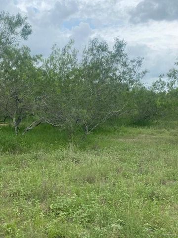 0 N Ted Garza Road N, San Manuel, TX 78541