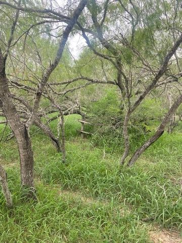 0 N Ted Garza Road N, San Manuel, TX 78541