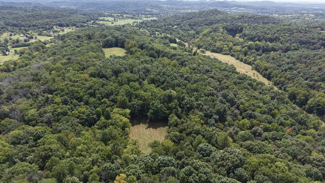 156 Madden Private Ln, Bethpage, TN 37022