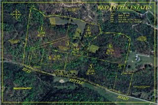 156 Madden Private Ln, Bethpage, TN 37022