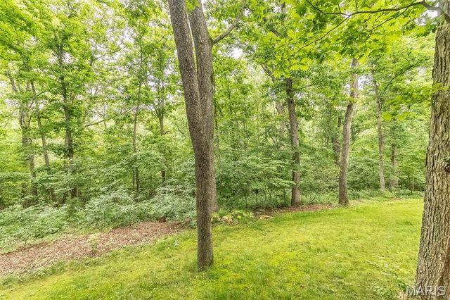 7 Walnut Ridge Court, Defiance, MO 63341