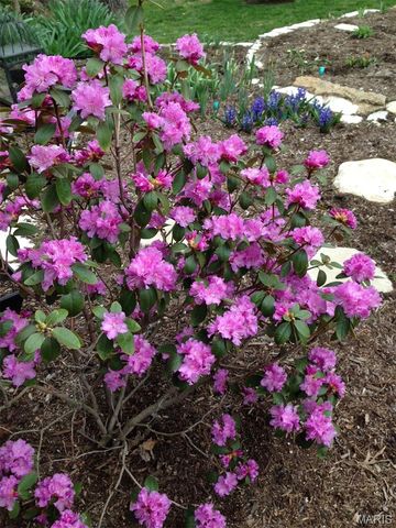 1889 N Signal Hills Drive, Kirkwood, MO 63122