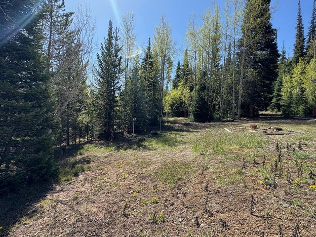 44 Alpine Ln, Walden, CO 80480
