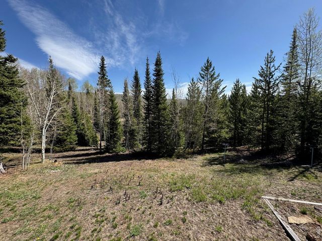 44 Alpine Ln, Walden, CO 80480