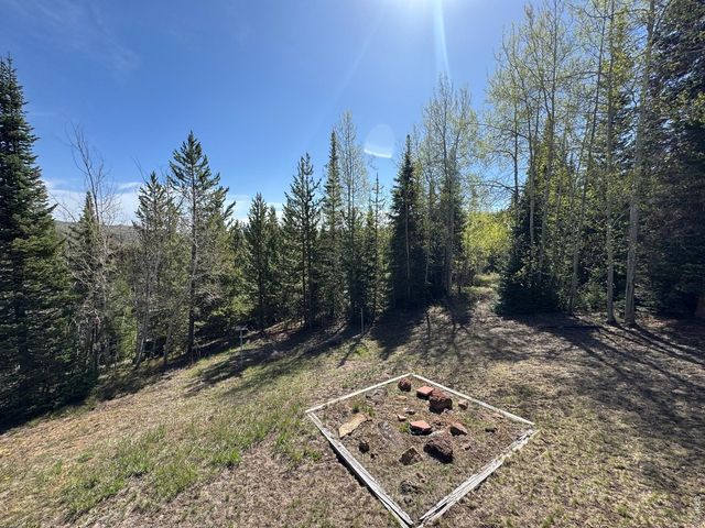 44 Alpine Ln, Walden, CO 80480