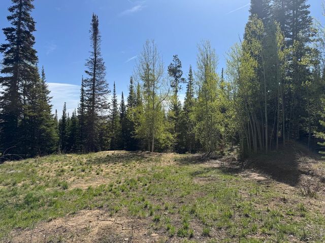 44 Alpine Ln, Walden, CO 80480