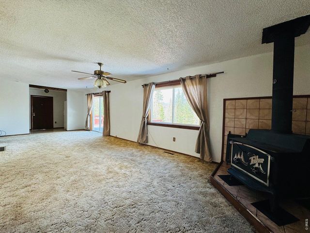 44 Alpine Ln, Walden, CO 80480