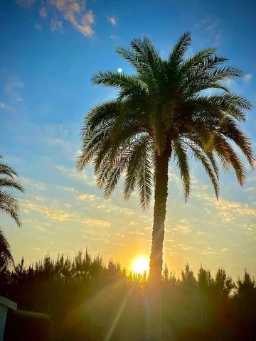 2457 ST GEORGE DRIVE, Davenport, FL 33837