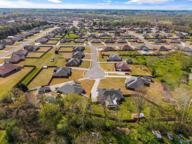 14687 Indigo Court, Harvest, AL 35749