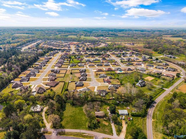 14687 Indigo Court, Harvest, AL 35749