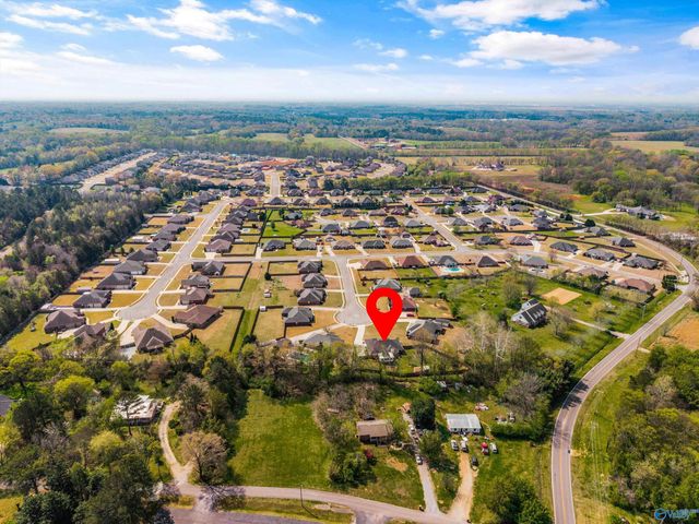 14687 Indigo Court, Harvest, AL 35749