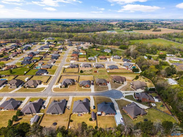 14687 Indigo Court, Harvest, AL 35749