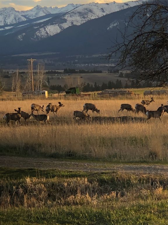 460 Windwalker Trail, Stevensville, MT 59870 photo 103