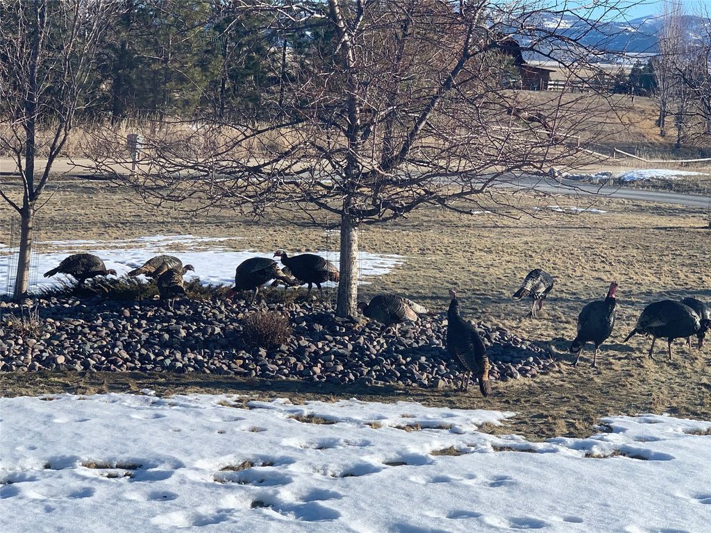 460 Windwalker Trail, Stevensville, MT 59870 photo 110