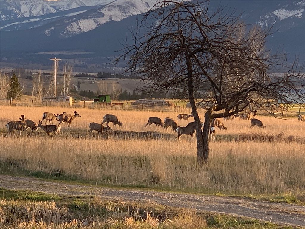 460 Windwalker Trail, Stevensville, MT 59870 photo 114