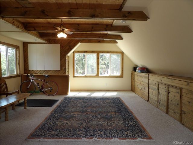 16525 Mt. Princeton Road, Buena Vista, CO 81211