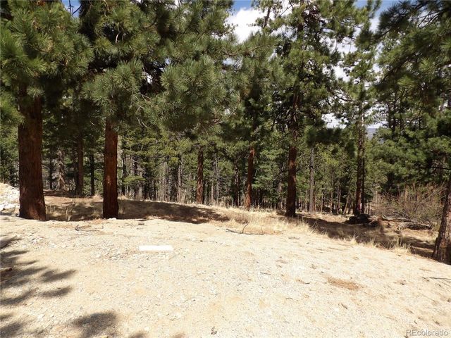 16525 Mt. Princeton Road, Buena Vista, CO 81211