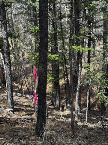 16525 Mt. Princeton Road, Buena Vista, CO 81211