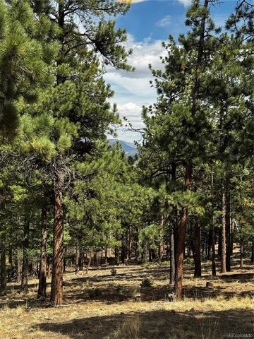 16525 Mt. Princeton Road, Buena Vista, CO 81211