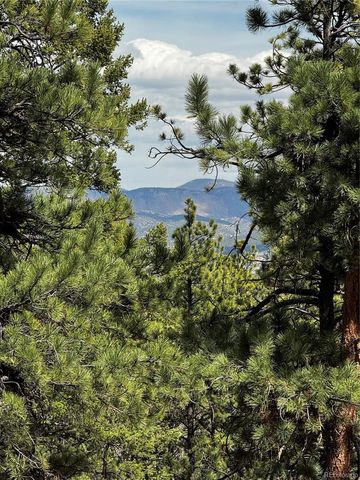 16525 Mt. Princeton Road, Buena Vista, CO 81211